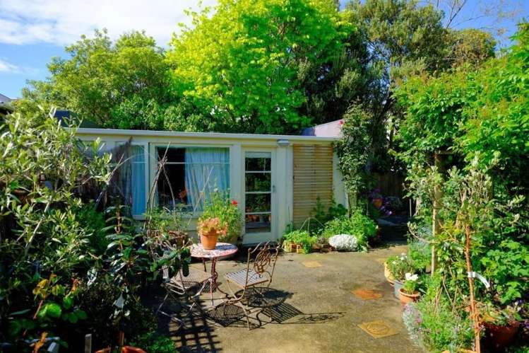 193 Forbury Road Saint Clair_15