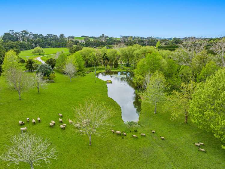 65 Anderson Road Matakana_2