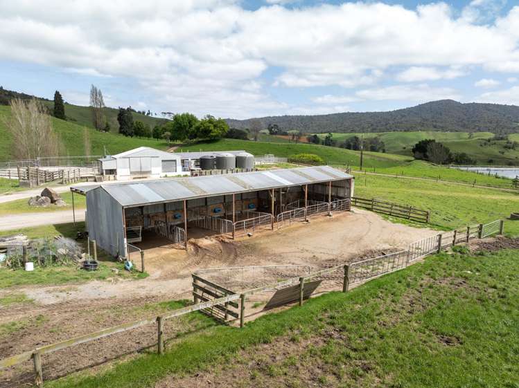 1259 Piakonui Road Matamata_11