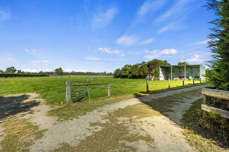 221 Smiths Road Leithfield_32