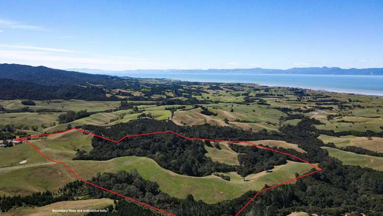 551 Kaiaua Road Kaiaua_17