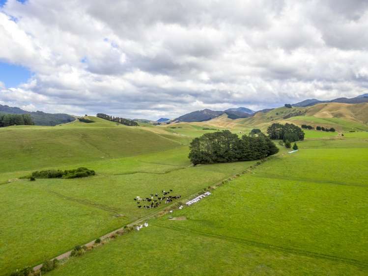 85274 State Highway 2 Eketahuna_13