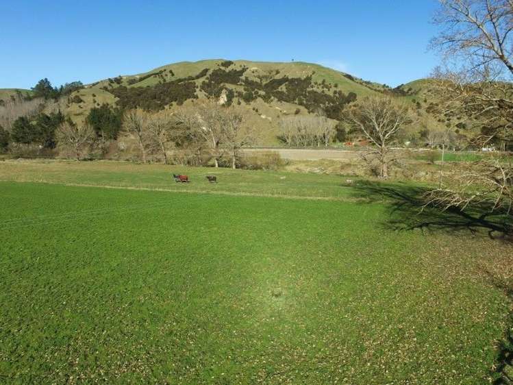 64 Waipunga Road Eskdale_13