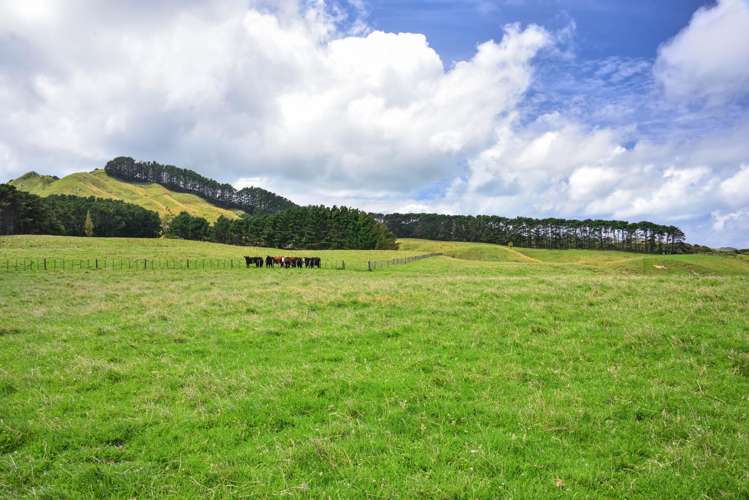 2346 Mahia East Coast Road Mahia_11