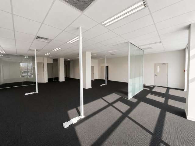 46 Acheron Drive Riccarton_4