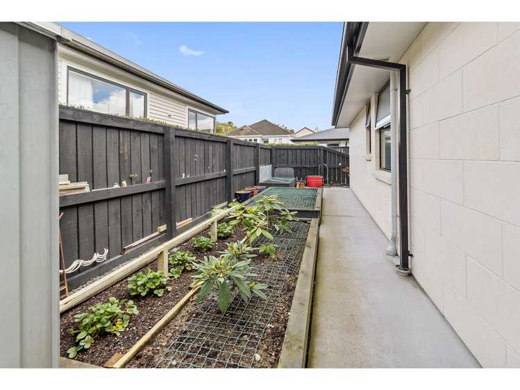 56a Douglas Street Highfield_12