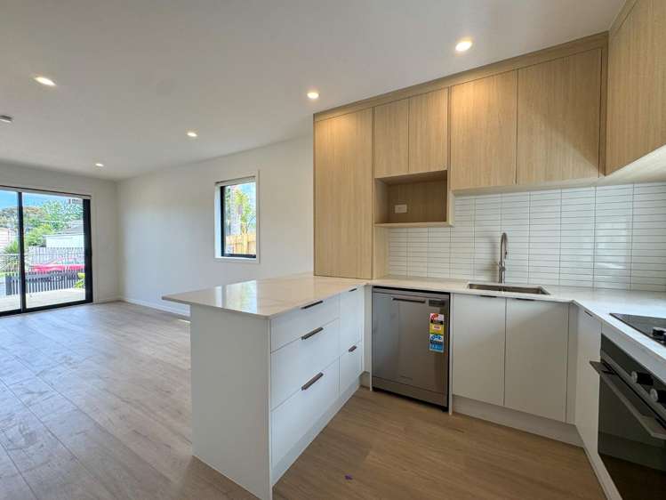 30A Flaxdale Street 1605_1