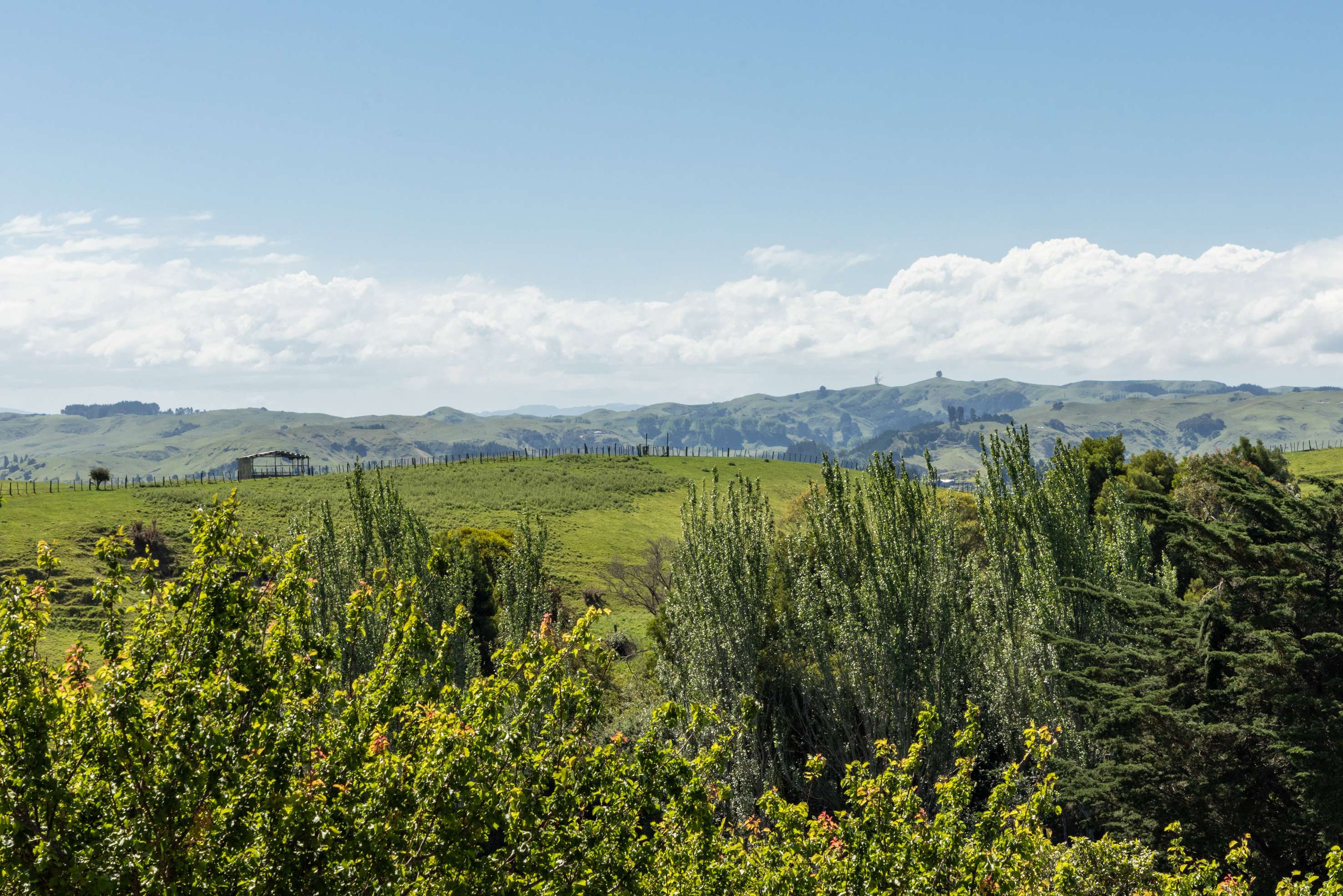 Lot 2/226 Puketitiri Road Poraiti Napier City Houses for Sale