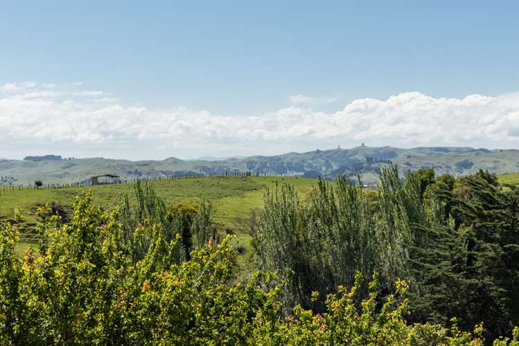 Lot 2/226 Puketitiri Road Poraiti_9