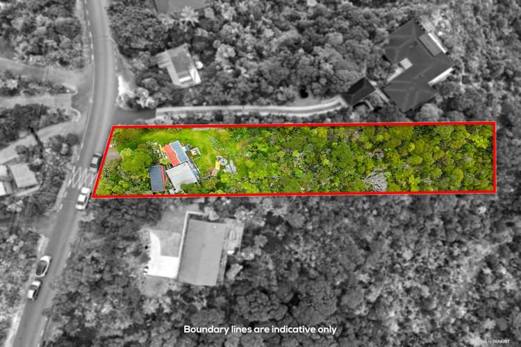 15 Log Race Road Piha_2