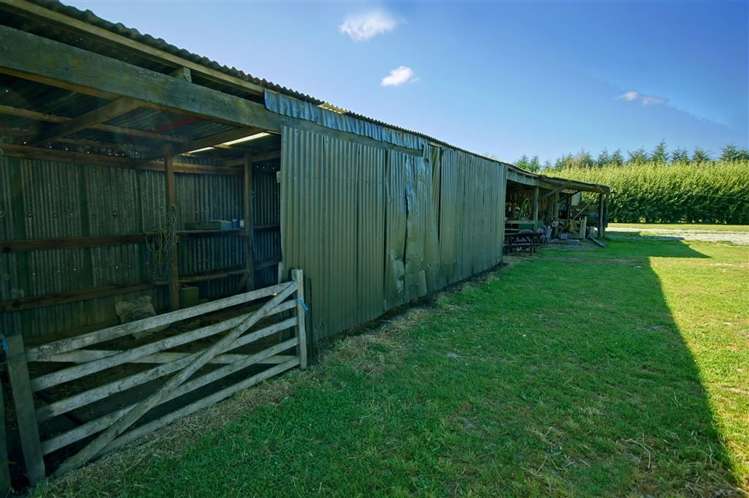 230 Greens Road Tuahiwi_12