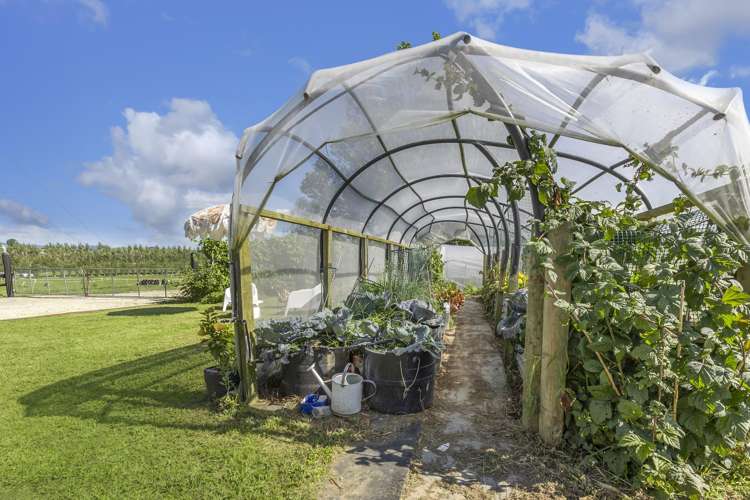 320 Seafund Road Wharepuhunga_19