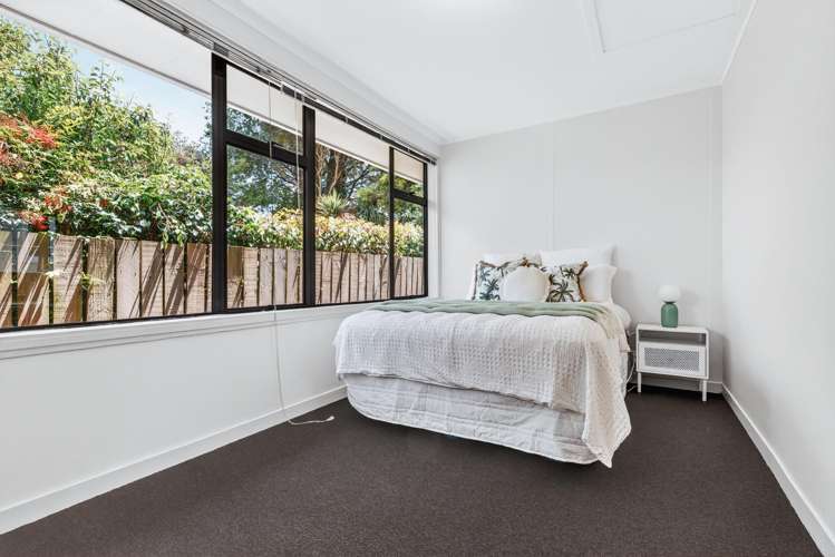 11 Kiwi Street Bird Area_12