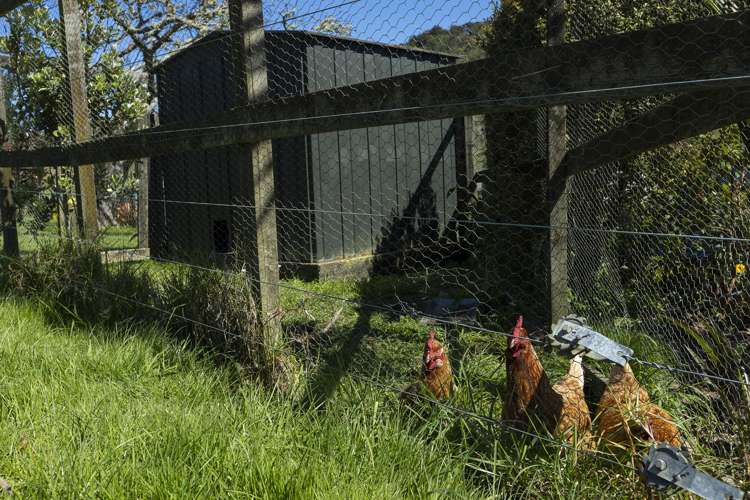 558 Backriver Road Peria_21