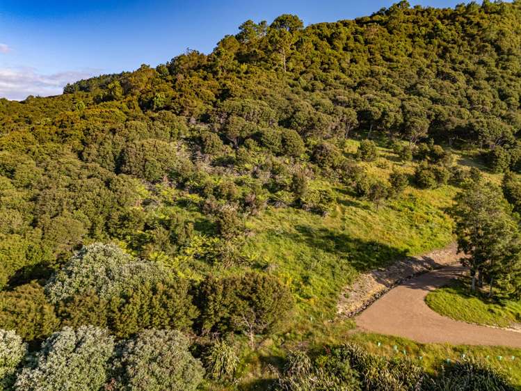 79-85 Awaawaroa Road Waiheke Island_13