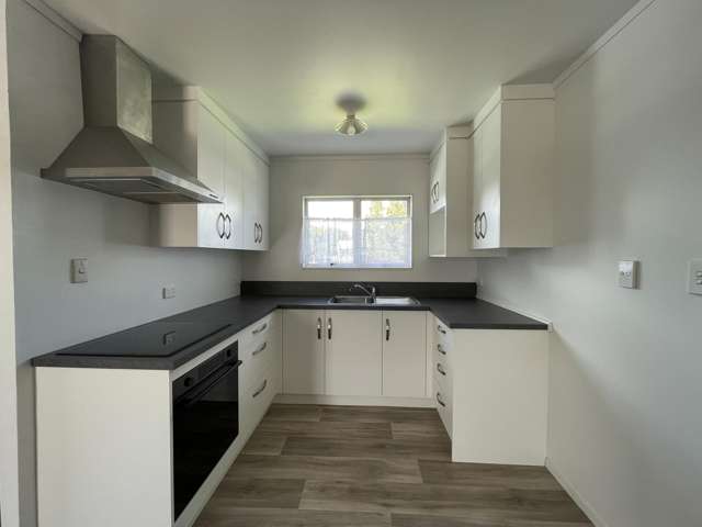 76B Kahikatea Drive Melville_2