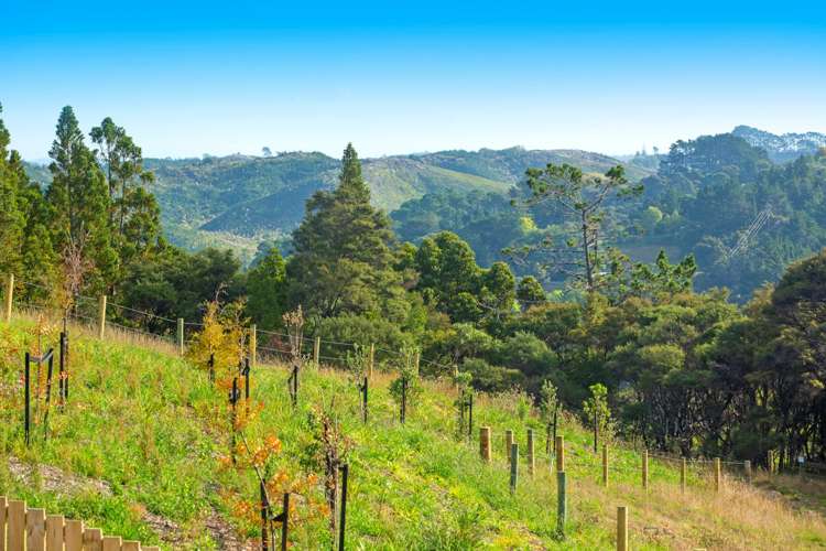 2 Ti Tree Lane Stanmore Bay_12