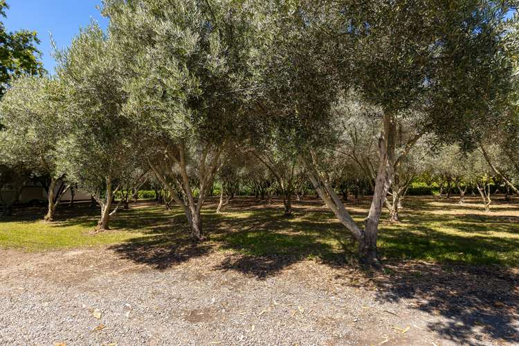 44 Lintons Road Seddon_22