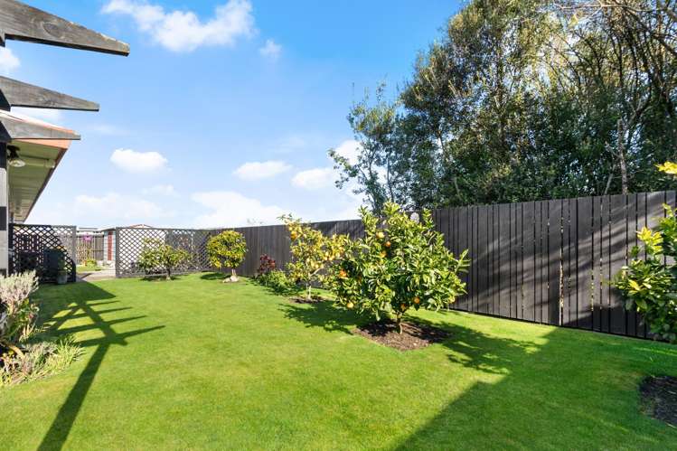 40 Rushton Road Morrinsville_18