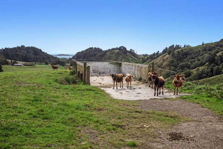 179 and 216 Rankin Road Waiotahe_5