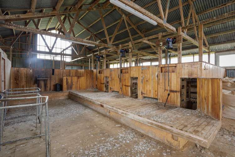 196 Waimanu Road Pukeatua_10