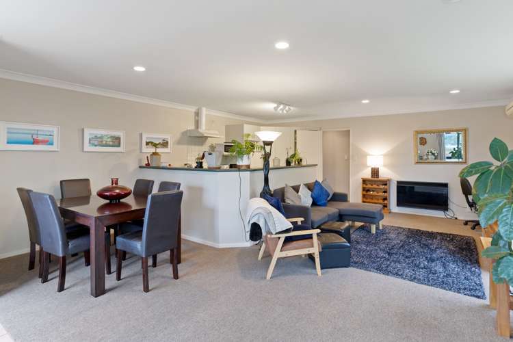 17b Scantlebury Street Tauranga South_7