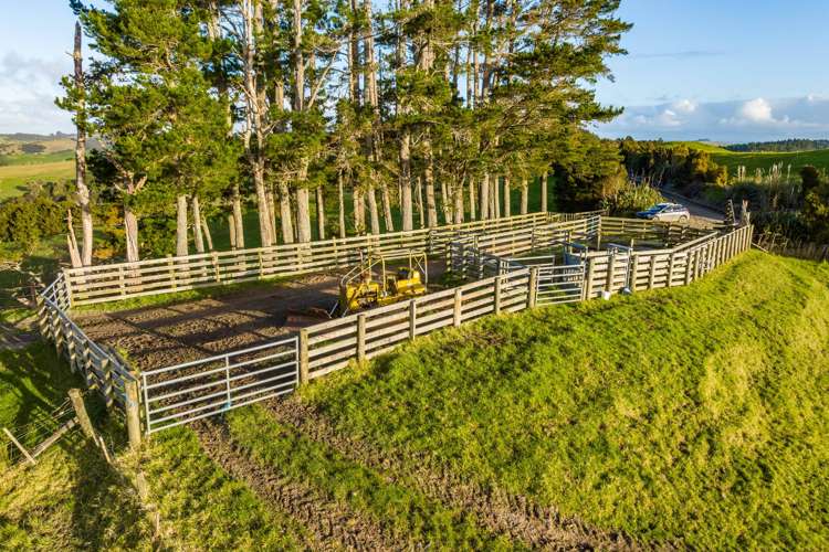 85 Lusk Road Ruawai_6