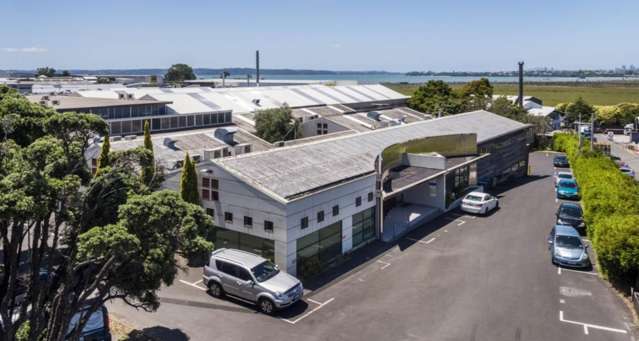 597 Rosebank Road Avondale_4