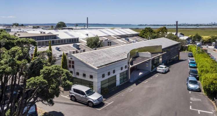 597 Rosebank Road Avondale_4