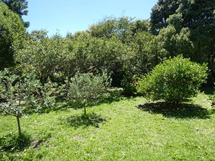 7 Corbett Street Hector_18