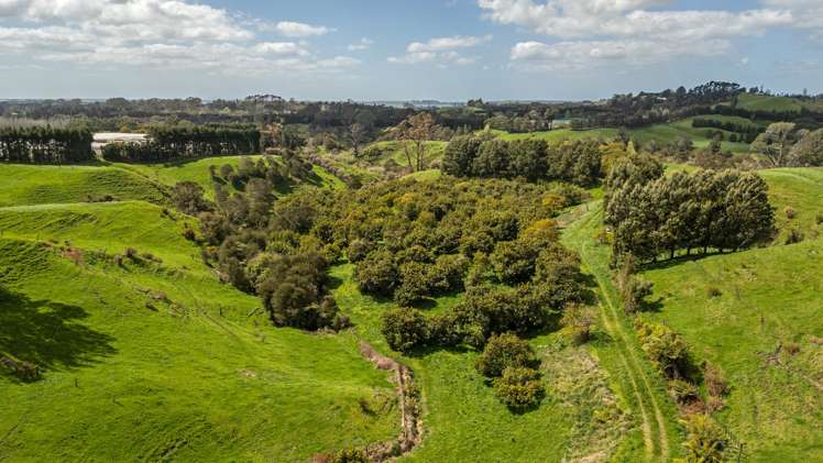 231 Walford Road Aongatete_9