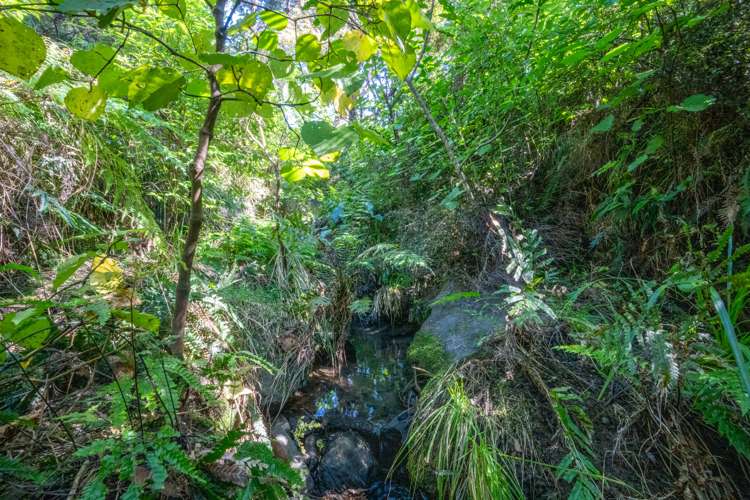 2281 Whangarei Heads Road Whangarei Heads_7