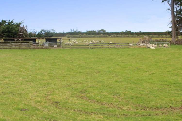 889 Lorne Dacre Road Winton Surrounds_14