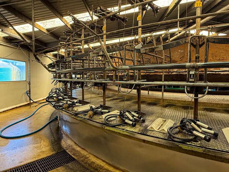 10 Roy Road Clutha_16