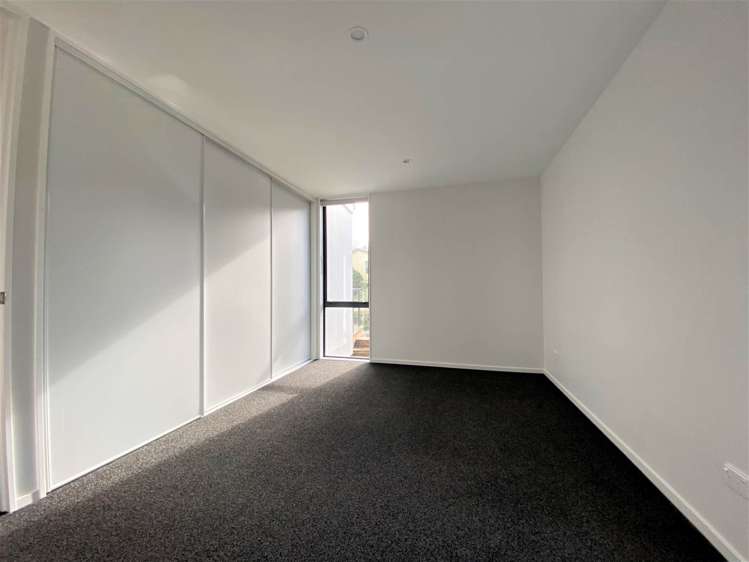 Beach Road Campbells Bay_10