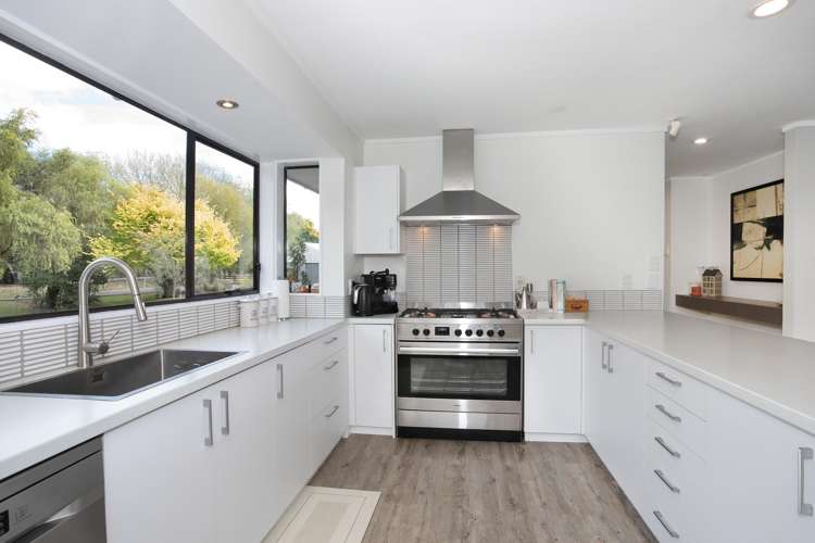 455b State Highway 1 Bulls_7