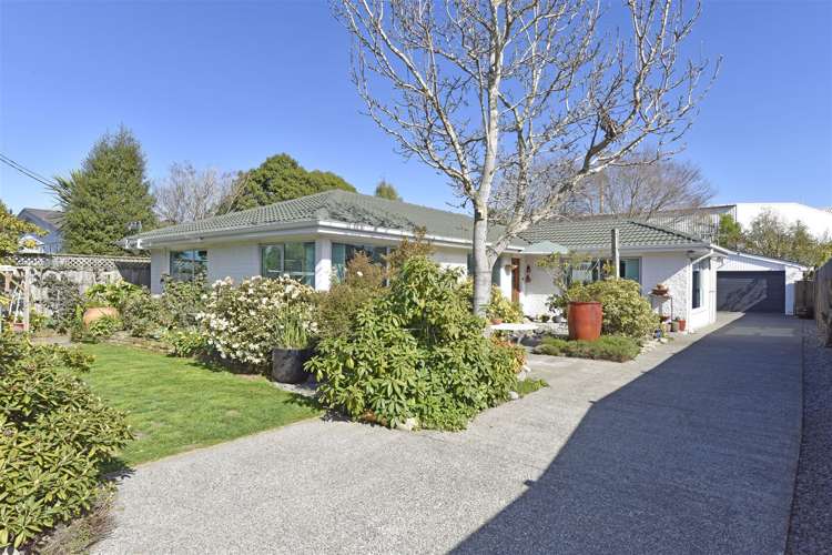 143 Roydvale Avenue_0