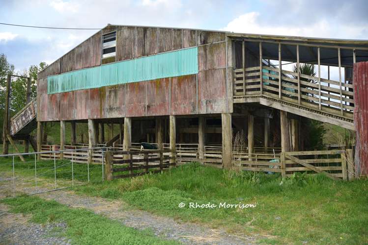 726 Paparoa Station Road Maungaturoto_32