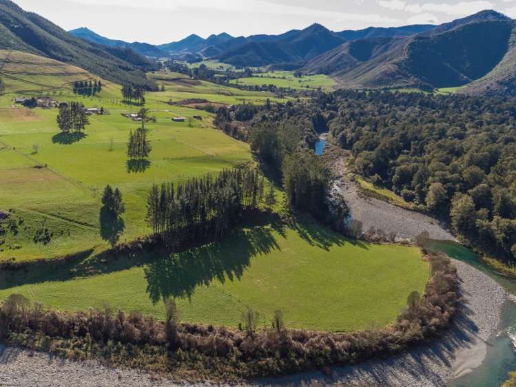 55 Maungatapu Road Rai Valley_16