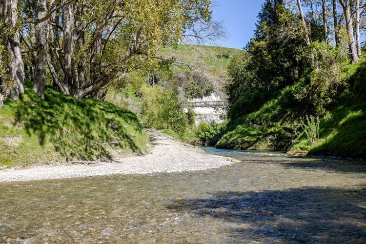 918 Pahiatua Pongaroa Road Pahiatua_9