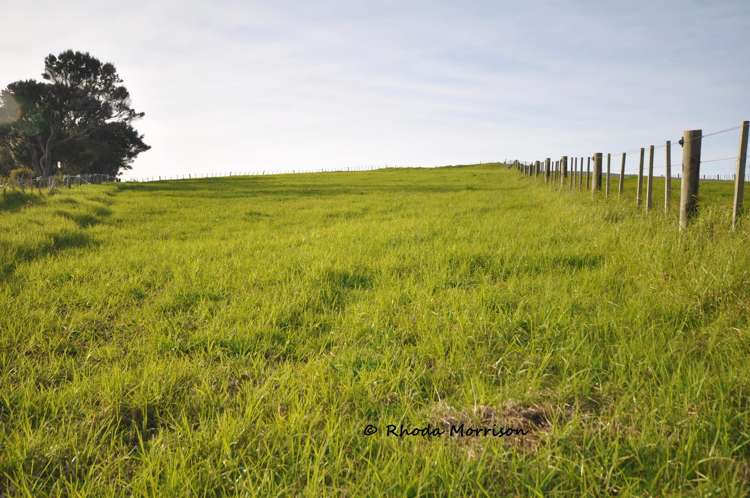 100 Te Wairoa Lane Matakohe_30