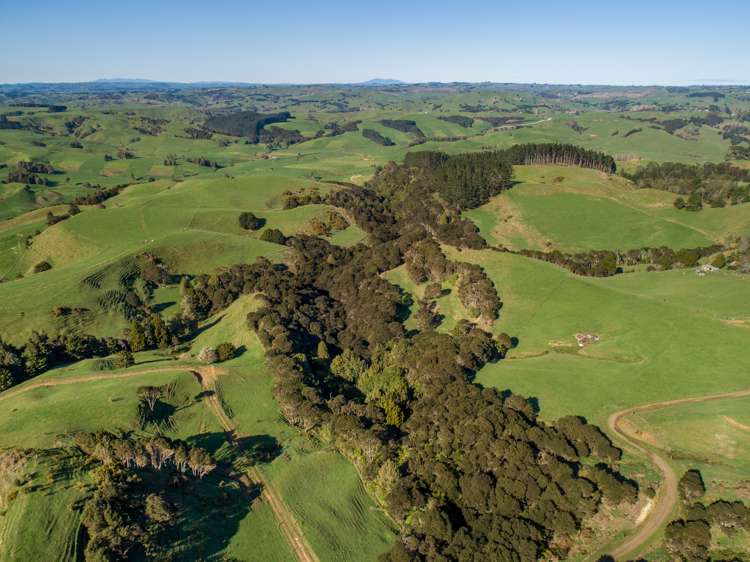 416 Kauri Road Onewhero_16