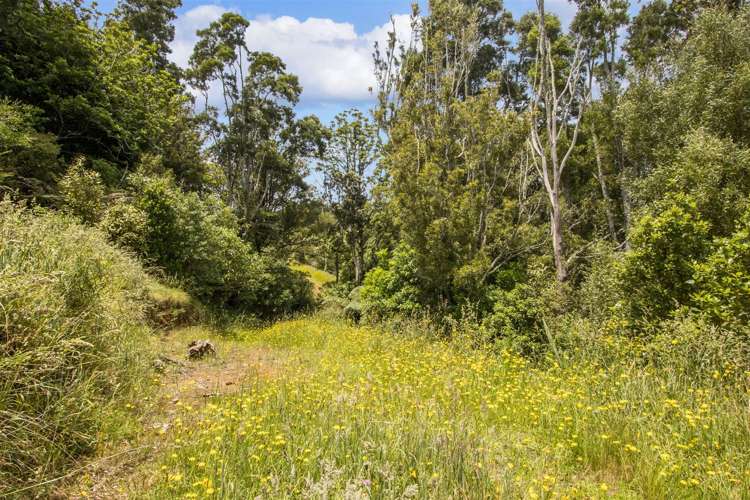 166b Heard Road Waihi_7