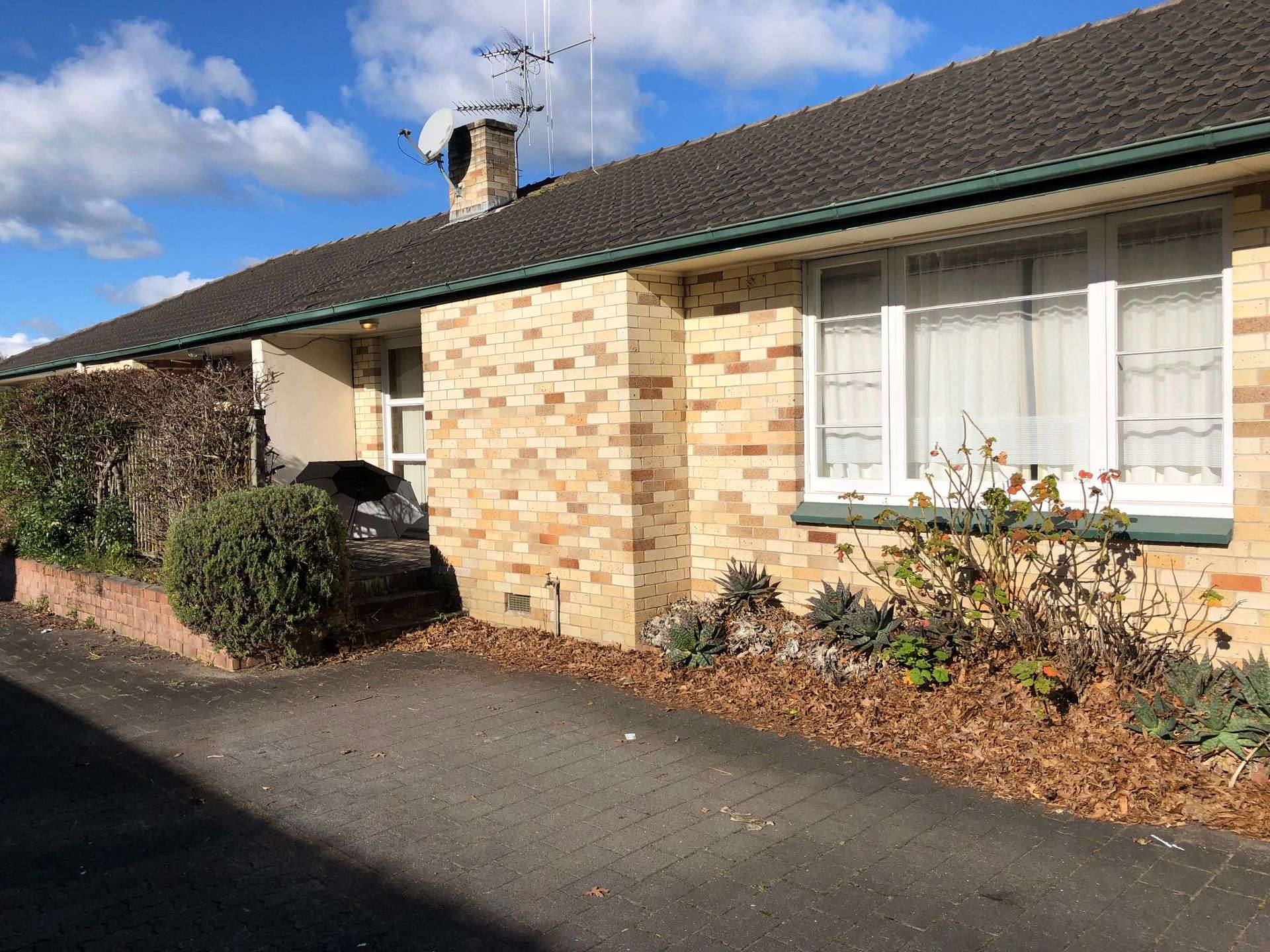 6 Firth Street Hamilton East_0