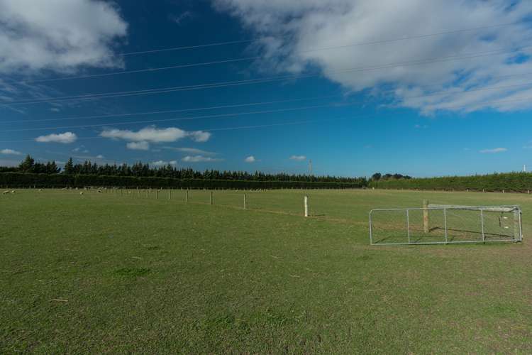 10 Mount Thomas Road Fernside_13