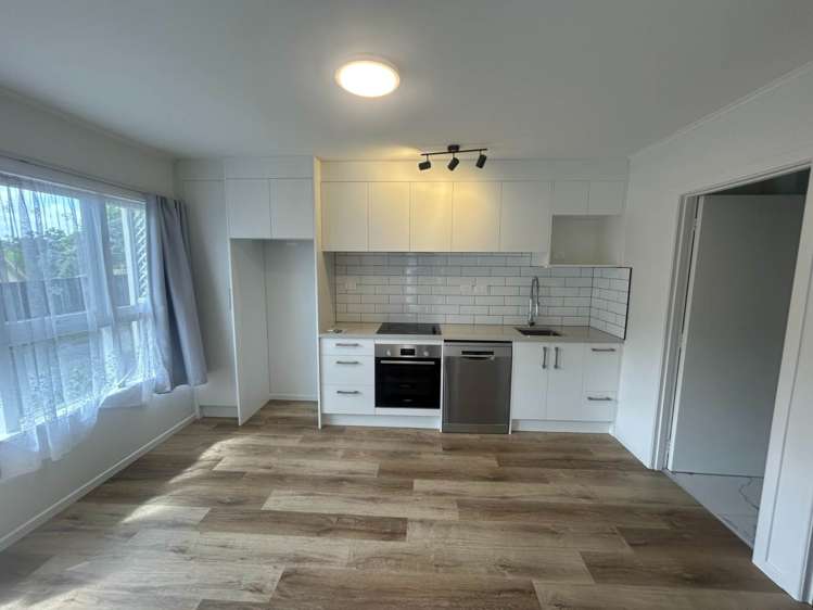 3/6 Tahora Avenue Remuera_2