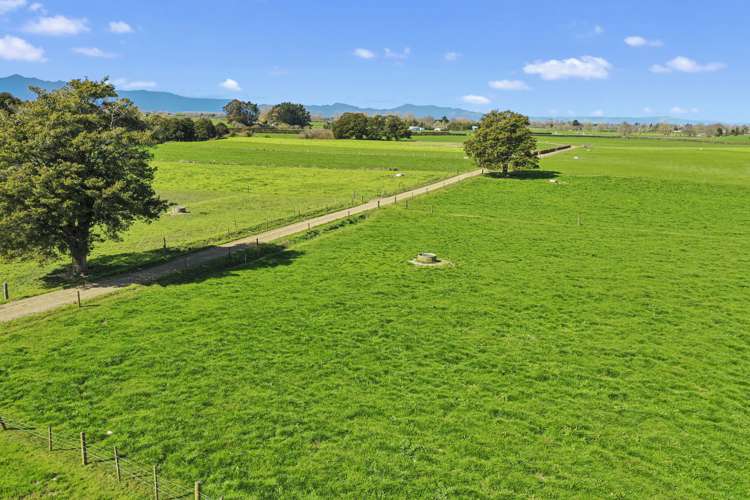 711 Horrell Road Morrinsville_12