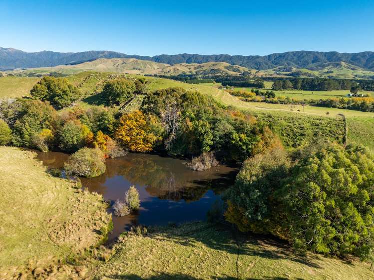 148 Mangatainoka Valley Road Eketahuna_21