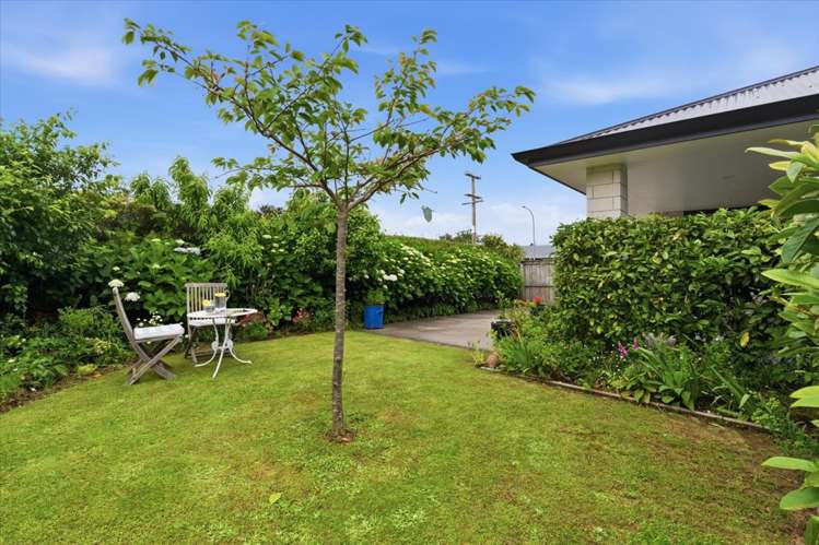 10B No 2 Road Te Puke_24