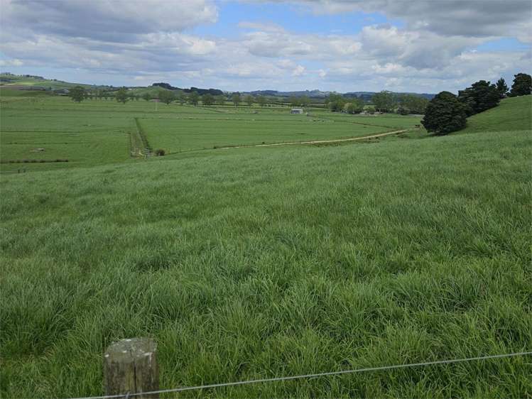 41 Rasmussen Road Aka Aka_6